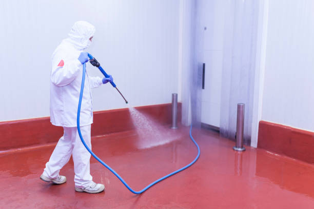 Best House Exterior Washing  in Foley, MN